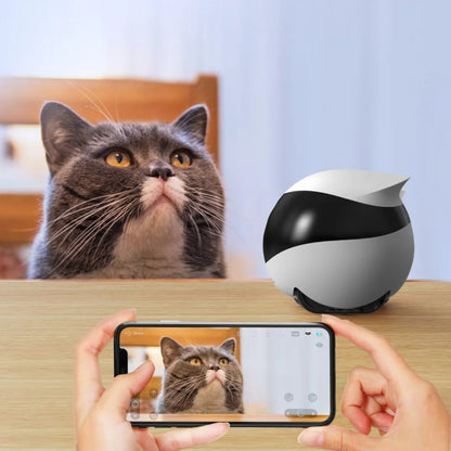 Ebo Pro: Smart Mobile Pet Camera & Home Security Robot