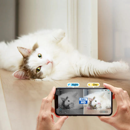 Ebo Pro: Smart Mobile Pet Camera & Home Security Robot